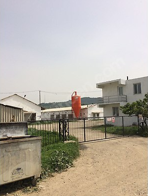 Satilik Tavuk Ciftligi 85 Binlik Faal Kurulu Is Yeri Aciliyetten Kiralik Satilik Kumeshane Satilik Kumes Hayvanlari Ve Ekipmanlari